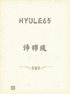 HYULE65