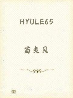 HYULE65