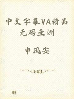 中文字幕VA精品无码亚洲